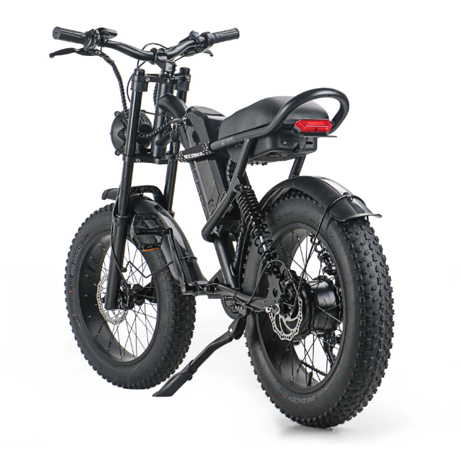 EMB009 New Design 750W Mountain Electric Bicycle Out Door With Fat Tire 20''Ebike