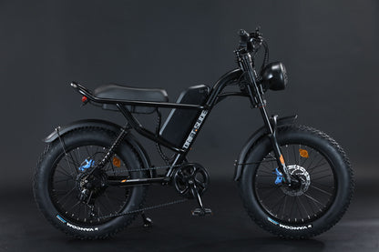 EMB009 New Design 750W Mountain Electric Bicycle Out Door With Fat Tire 20''Ebike